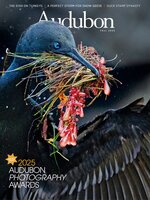 Audubon Magazine